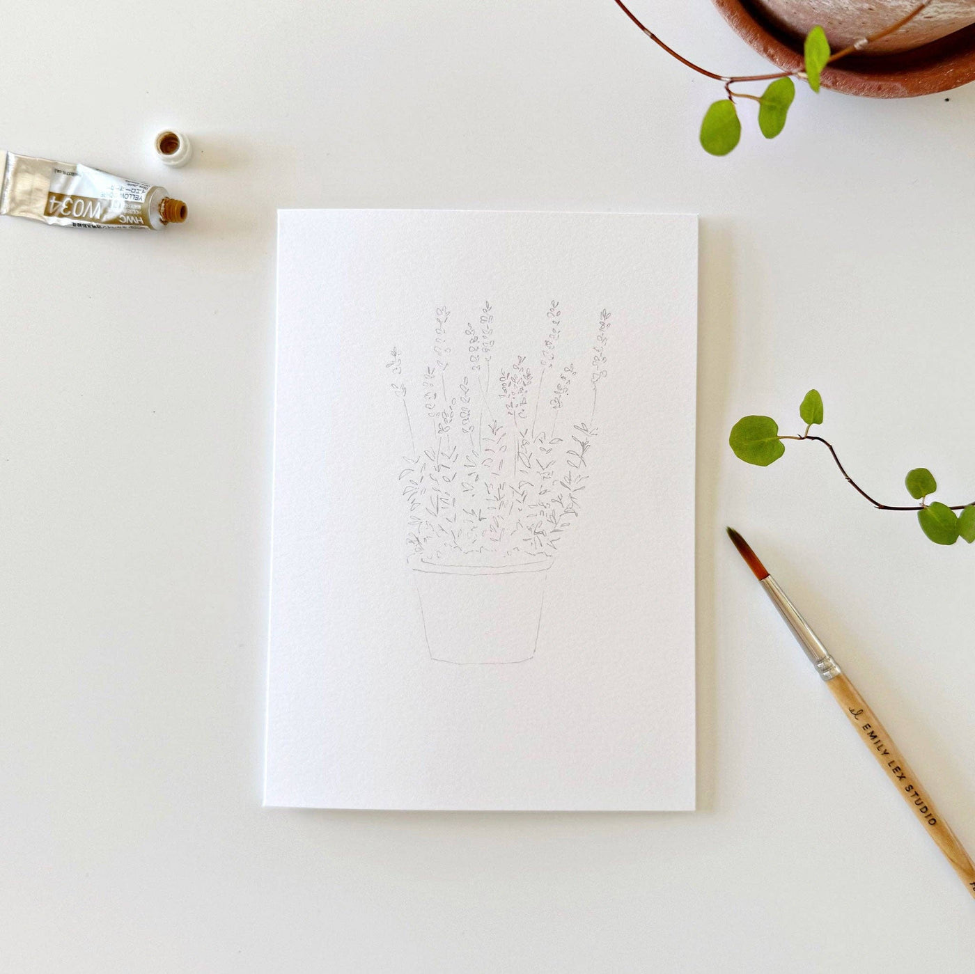 Potted Plants Paintable Notecards, Set of 8