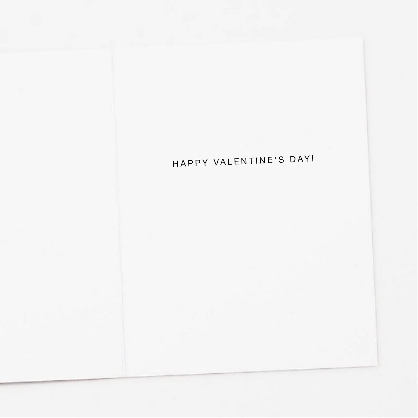 Raccoon with Red Hearts Valentine's Day Card