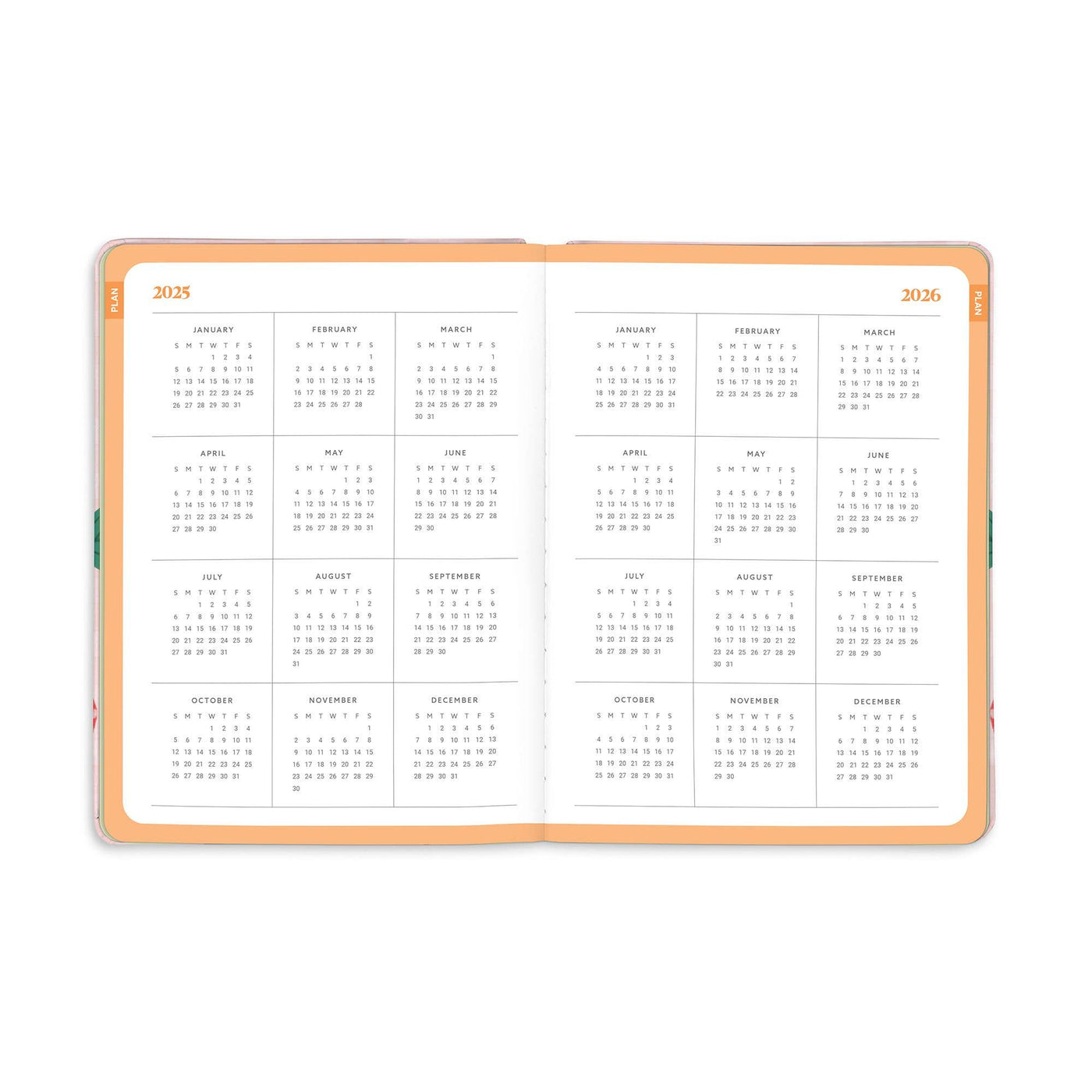 August 2025 to December 2026, Strawberry Love Good Day Planner